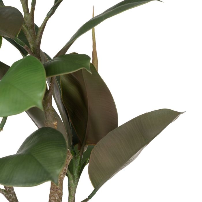 Planta Decorativa Polietileno Hierro PEVA Roble 76 cm 4