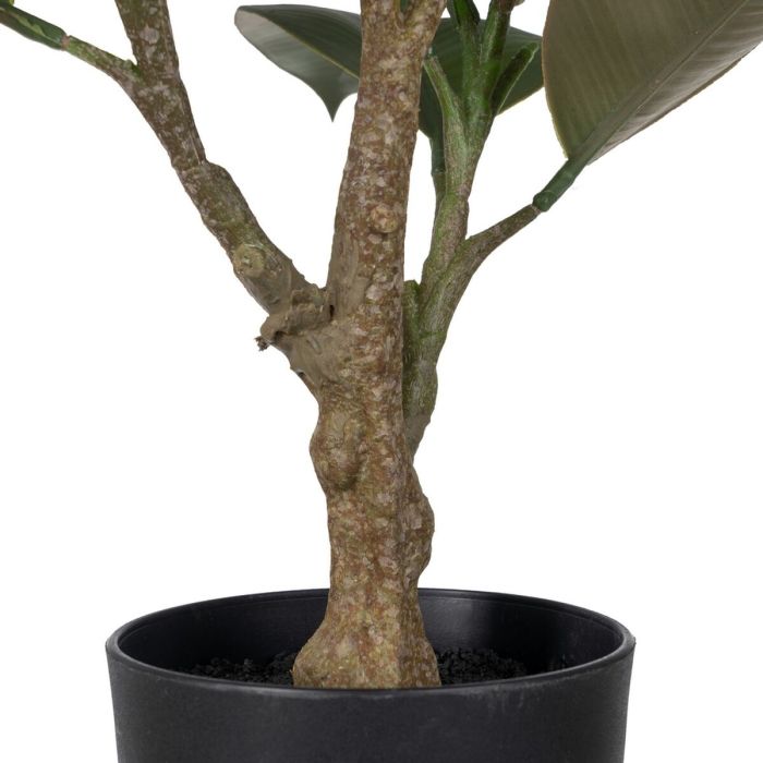 Planta Decorativa Polietileno Hierro PEVA Roble 76 cm 2