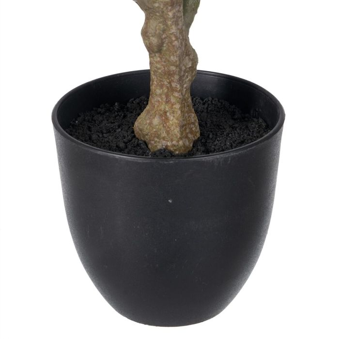 Planta Decorativa Polietileno Hierro PEVA Roble 76 cm 1