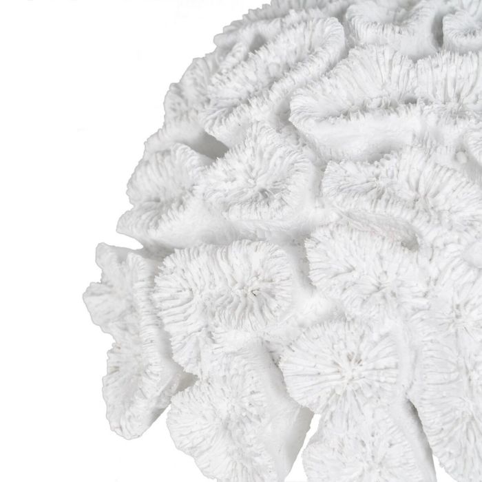 Figura Decorativa Blanco Coral 23 x 22 x 11 cm 3