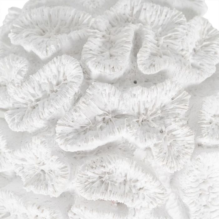 Figura Decorativa Blanco Coral 23 x 22 x 11 cm 2