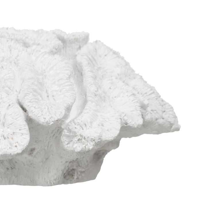 Figura Decorativa Blanco Coral 23 x 22 x 11 cm 1