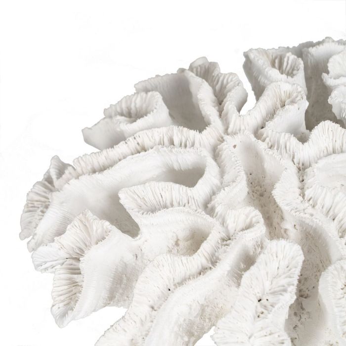 Figura Decorativa Blanco Coral 30 x 30 x 11 cm 3