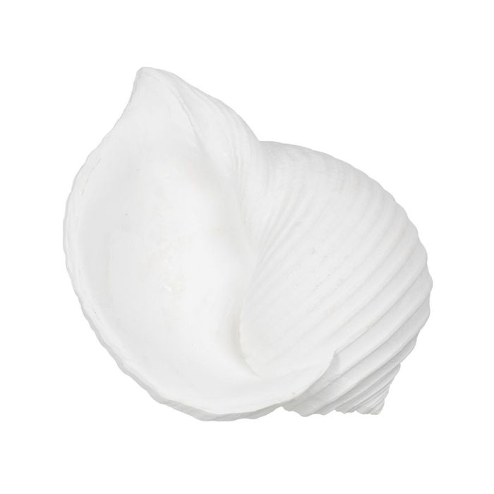 Figura Decorativa Blanco Caracola 15 x 11 x 9 cm 3