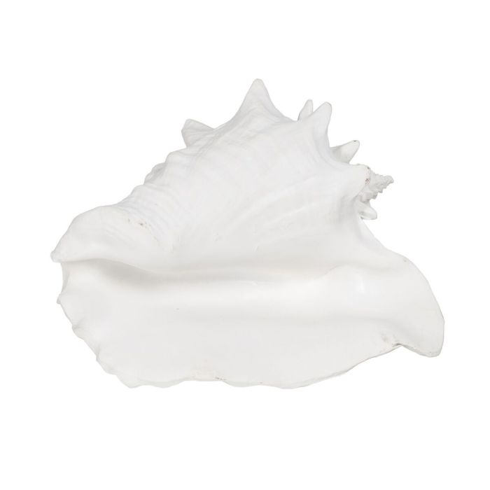 Figura Decorativa Blanco Caracola 21 x 19 x 13 cm 4