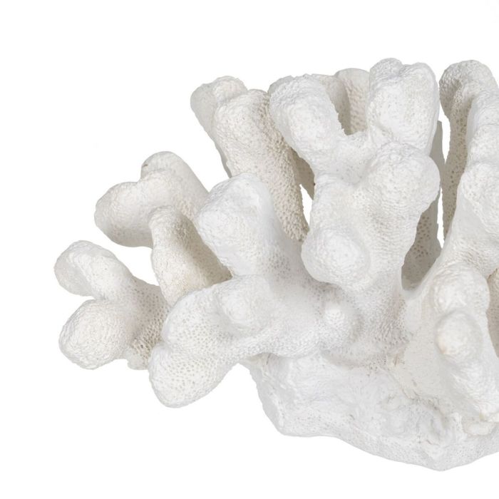 Figura Decorativa Blanco Coral 19 x 14 x 11 cm 3