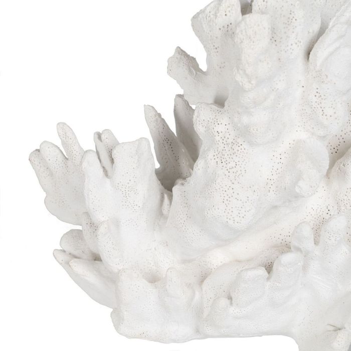 Figura Decorativa Blanco Coral 29 x 20 x 21 cm 3