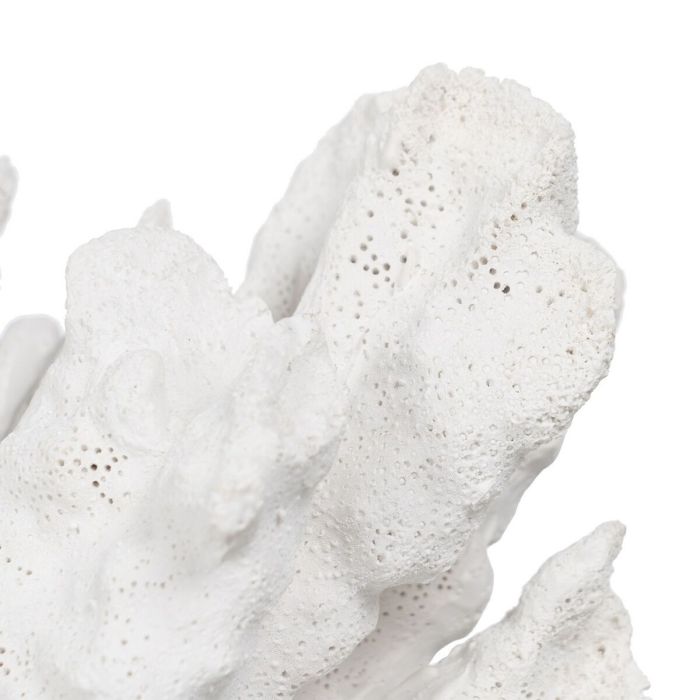 Figura Decorativa Blanco Coral 29 x 20 x 21 cm 2
