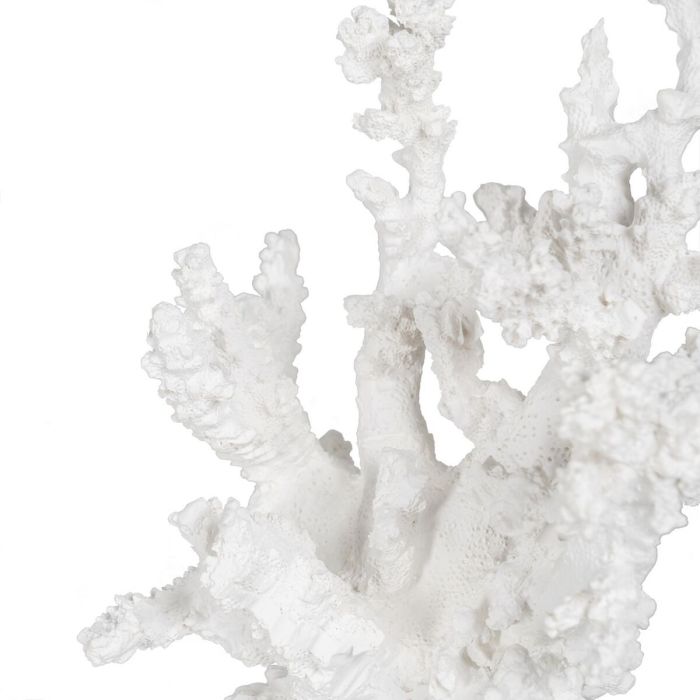 Figura Decorativa Blanco Resina Coral 17 x 17 x 20 cm 3