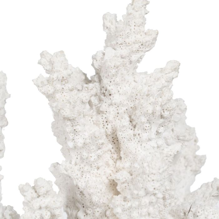 Figura Decorativa Blanco Resina Coral 34 X 13 X 27 CM 2