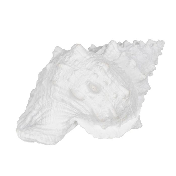 Figura Decorativa Blanco Caracola 21 x 14 x 12 cm 3