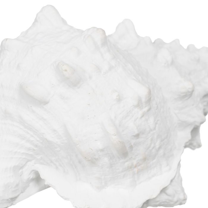 Figura Decorativa Blanco Caracola 21 x 14 x 12 cm 1
