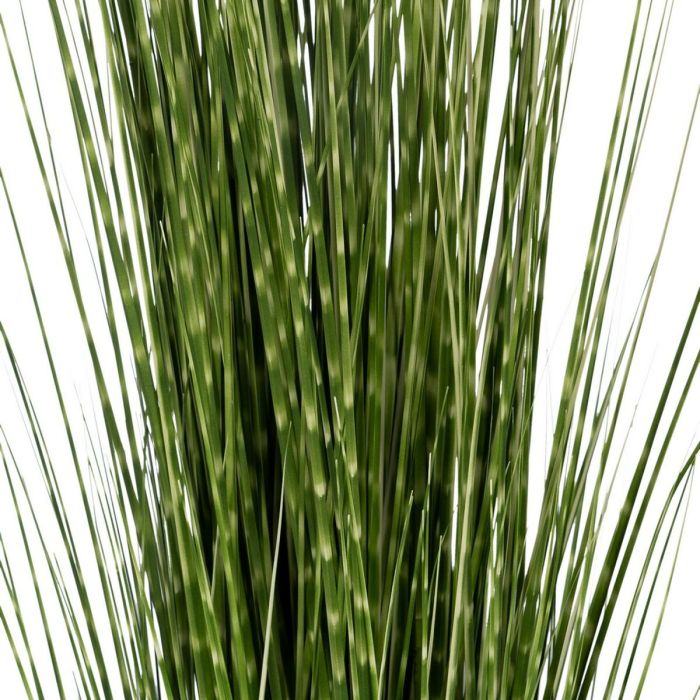 Planta Decorativa PVC Acero Cemento 152 cm 15,5 x 15,5 x 15,5 cm 2