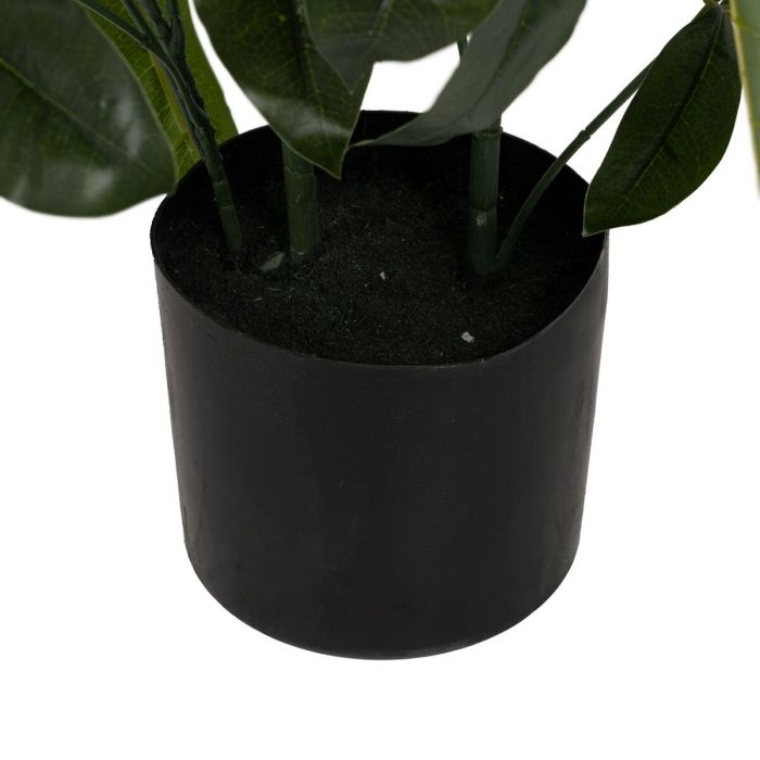 Planta Decorativa 50 X 50 X 70 CM 2