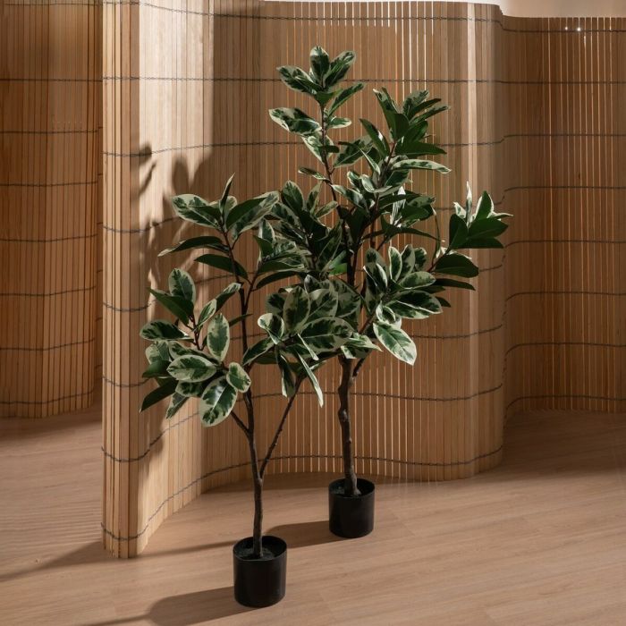 Planta Decorativa Goma Polipropileno 50 x 50 x 120 cm 2