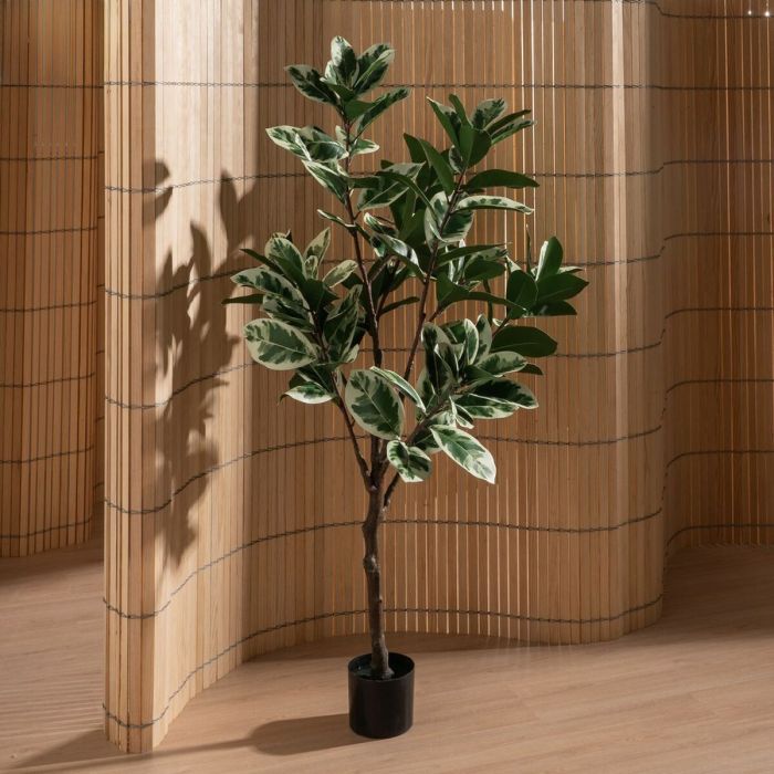 Planta Decorativa Goma 70 x 70 x 150 cm 1