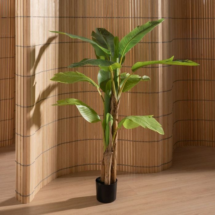 Planta Decorativa Goma 90 X 90 X 125 CM 1