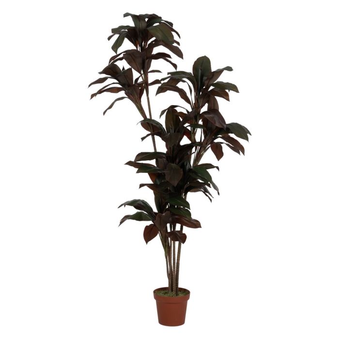 Planta Decorativa Polietileno Hierro Cemento 45 x 45 x 170 cm