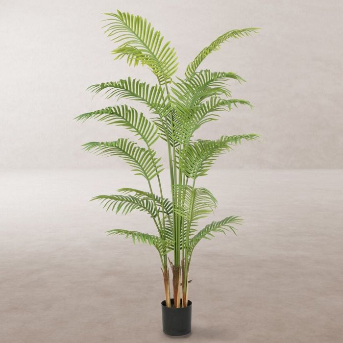Planta Decorativa Poliuretano Cemento Areca 180 cm 1