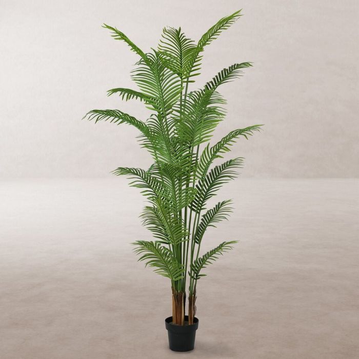 Planta Decorativa Poliuretano Cemento Areca 210 cm 1