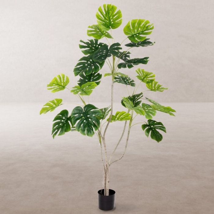 Planta Decorativa Poliuretano Cemento Monstera 180 cm 5