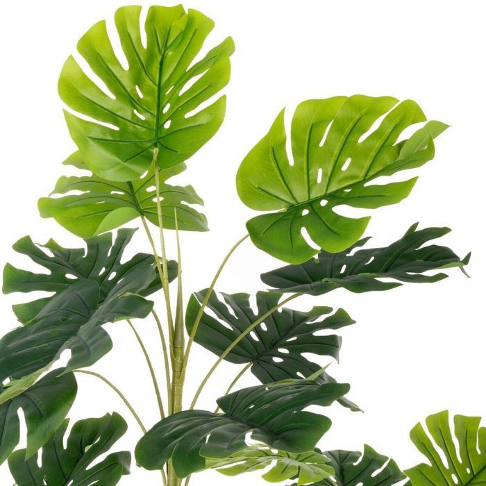 Planta Decorativa Poliuretano Cemento Monstera 180 cm 3