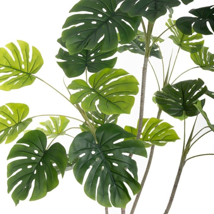 Planta Decorativa Poliuretano Cemento Monstera 180 cm 2