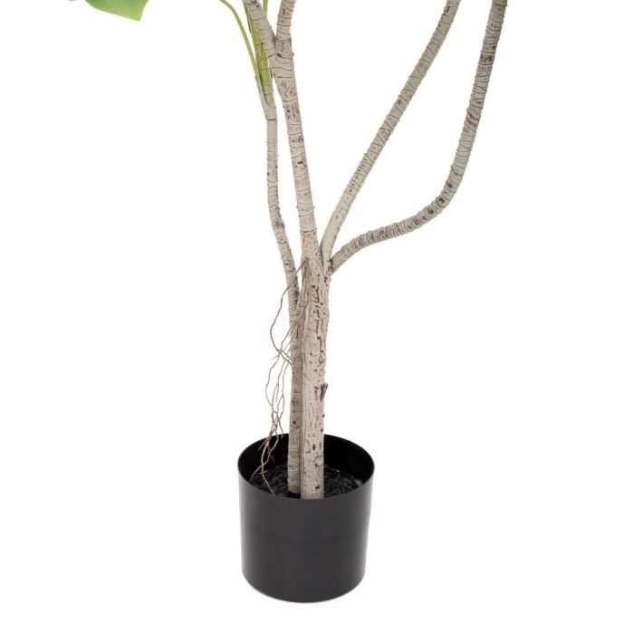 Planta Decorativa Poliuretano Cemento Monstera 180 cm 1