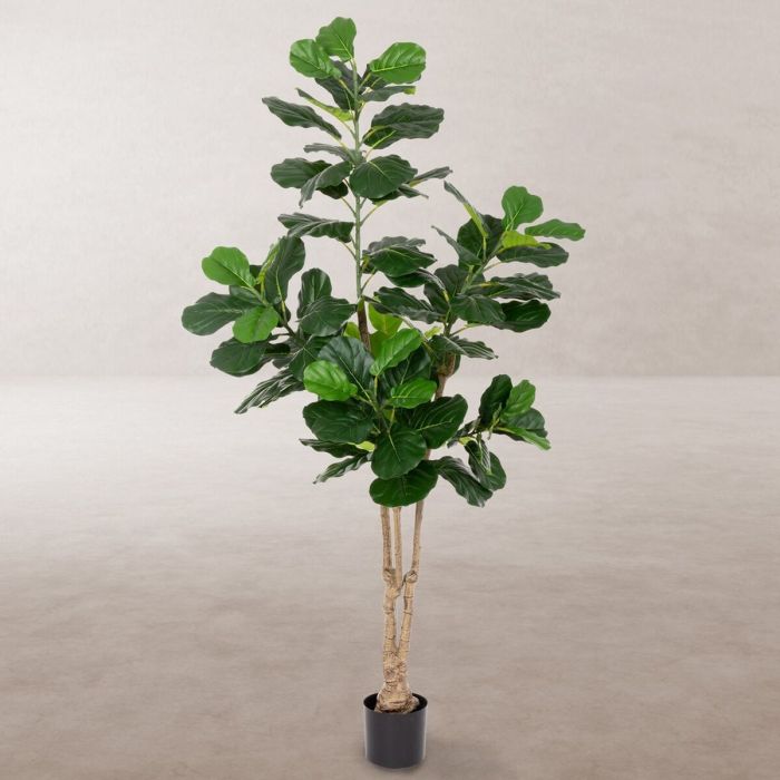 Planta Decorativa Poliuretano Cemento Ficus 175 cm 4