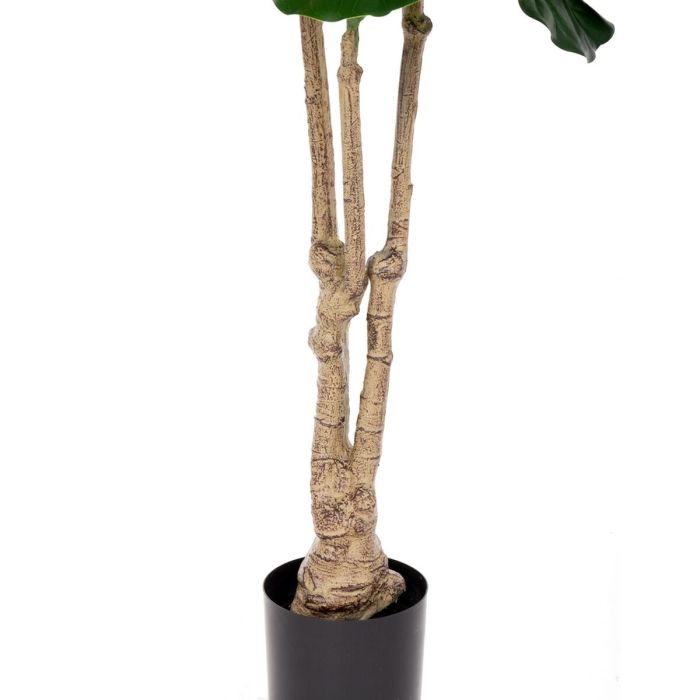 Planta Decorativa Poliuretano Cemento Ficus 175 cm 2