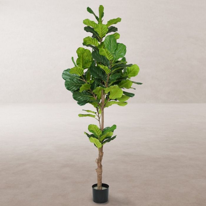 Planta Decorativa Poliuretano Cemento Ficus 200 cm 1