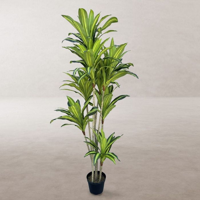 Planta Decorativa Poliuretano Cemento 180 cm 5
