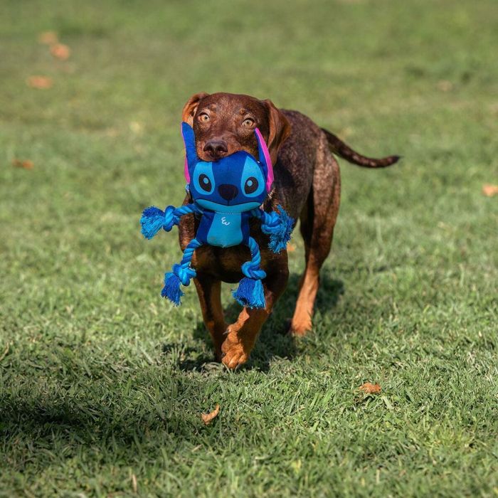 Juguete para perros Stitch Azul 13 x 7 x 23 cm 1