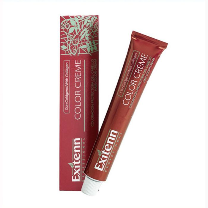 Tinte Permanente Exitenn Color Creme 60 ml Nº 12 0.86