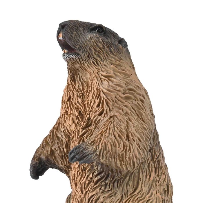 Marmota S-80044-Collecta 1