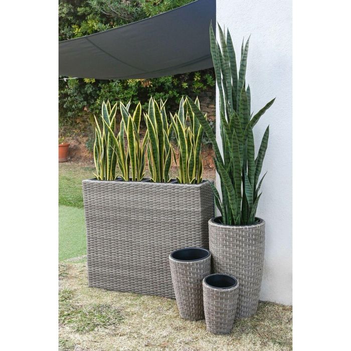 Macetero Terraza Y Jardin DKD Home Decor Natural 22 x 65 x 83 cm 4