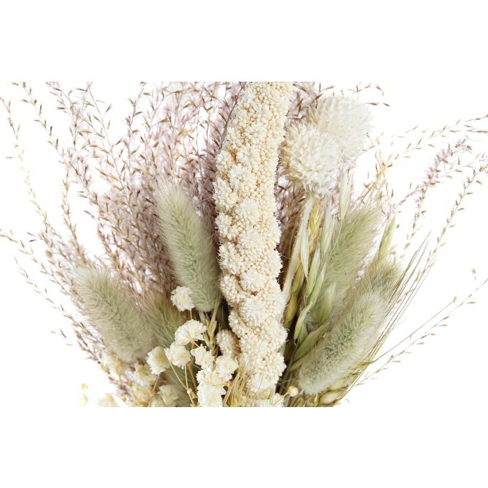 DKD Home Decor Ramo Shabby Amarillo Beige 5 x 23 x 10 cm (6 Unidades) Flor Seca 2