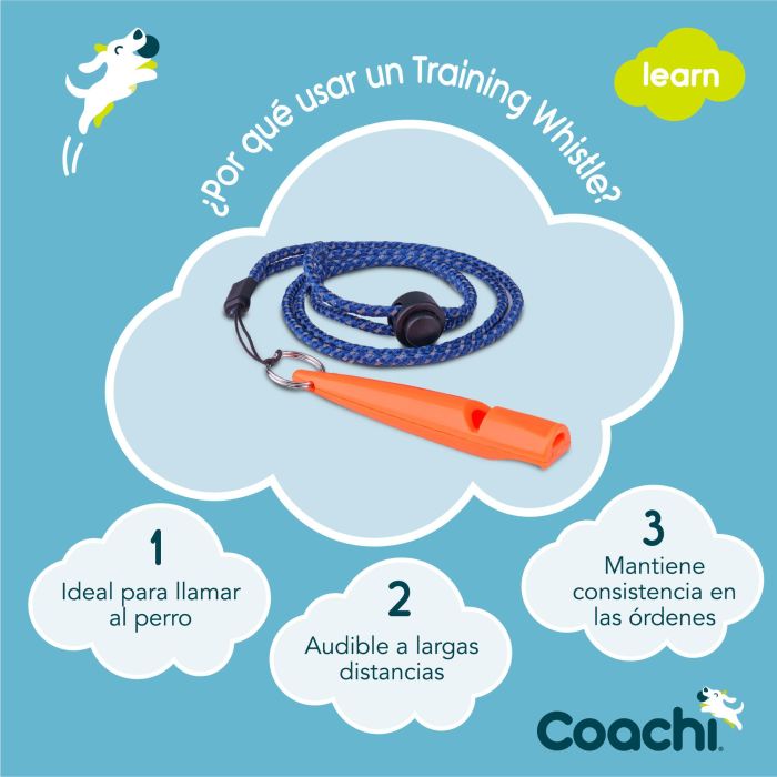 Coachi Silbato de Adiestramiento Training Coral para Perros y Cachorros - Sonido Alto y Distintivo, Ligero y Correa Reflectante 2 Coachi Silbato de Adiestramiento Training Coral para Perros y Cachorros - Sonido Alto y Distintivo, Ligero y Correa Reflectante 2