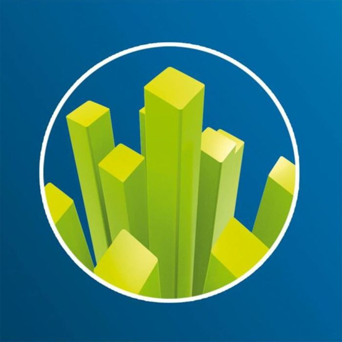 Cabezal de Recambio Philips HX6062/13 Negro 2 Unidades 2