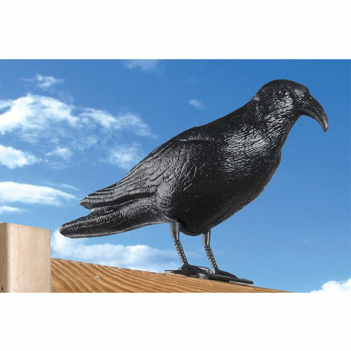 Ahuyentador EDM Pájaros Cuervo Polipropileno 36 x 13 x 18 cm 1