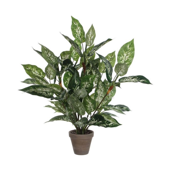 Dieffenbachia pvc con maceta gris