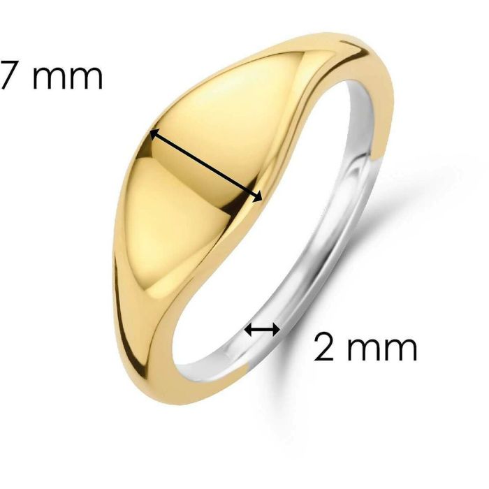 Anillo Mujer Ti Sento 12223SY/56 16 2