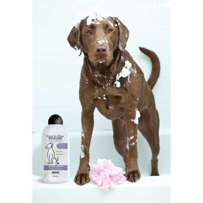 Champú Wahl Blanco 750 ml 1 Champú Wahl Blanco 750 ml 1