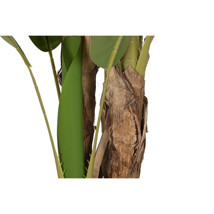 Planta Terraza Y Jardin DKD Home Decor Verde 90 x 290 x 90 cm 3 Planta Terraza Y Jardin DKD Home Decor Verde 90 x 290 x 90 cm 3