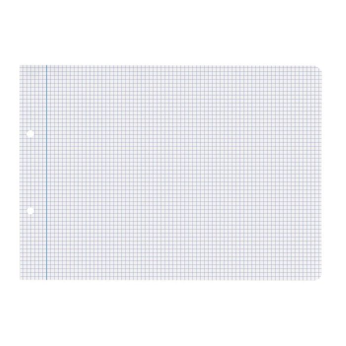 Recambio Liderpapel Cuarto Apaisado 100 H 2Tca-06 Cuadro 3 mm 2 Taladros Con Margen 1