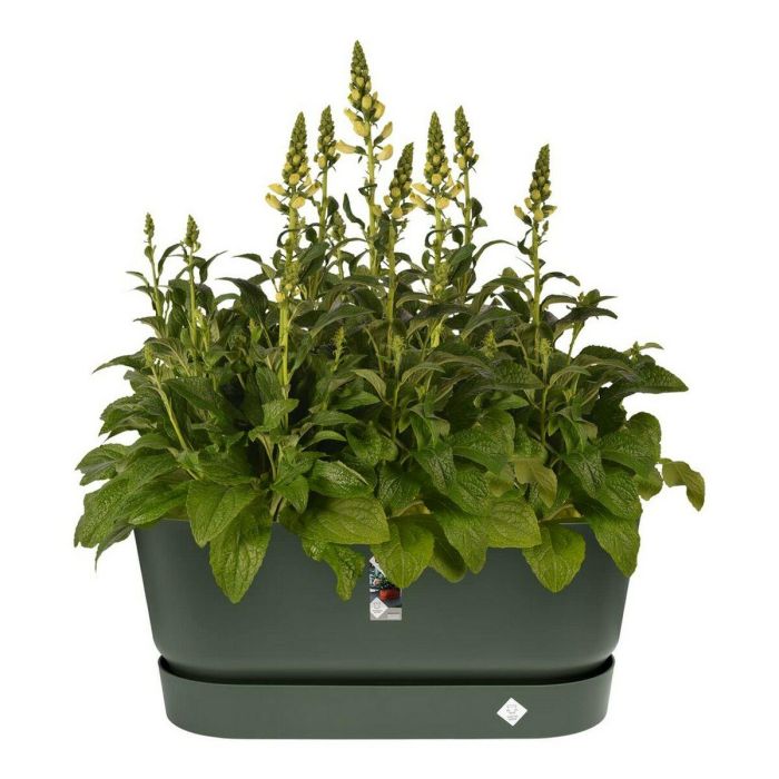Greenville Terrase 80 Ruedas verde hoja 4 Greenville Terrase 80 Ruedas verde hoja 4