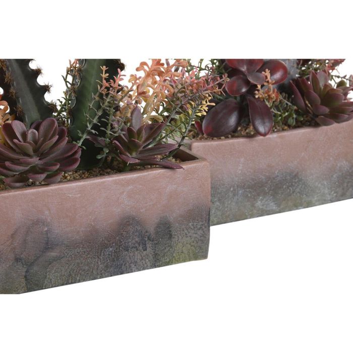 Planta DKD Home Decor Naranja Rosa 9 x 22 x 19 cm (2 Unidades) 2 Planta DKD Home Decor Naranja Rosa 9 x 22 x 19 cm (2 Unidades) 2