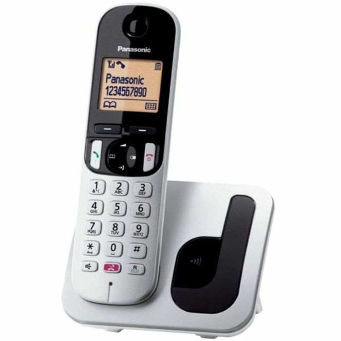 Teléfono Inalámbrico Panasonic KX-TGC250 Gris Plateado