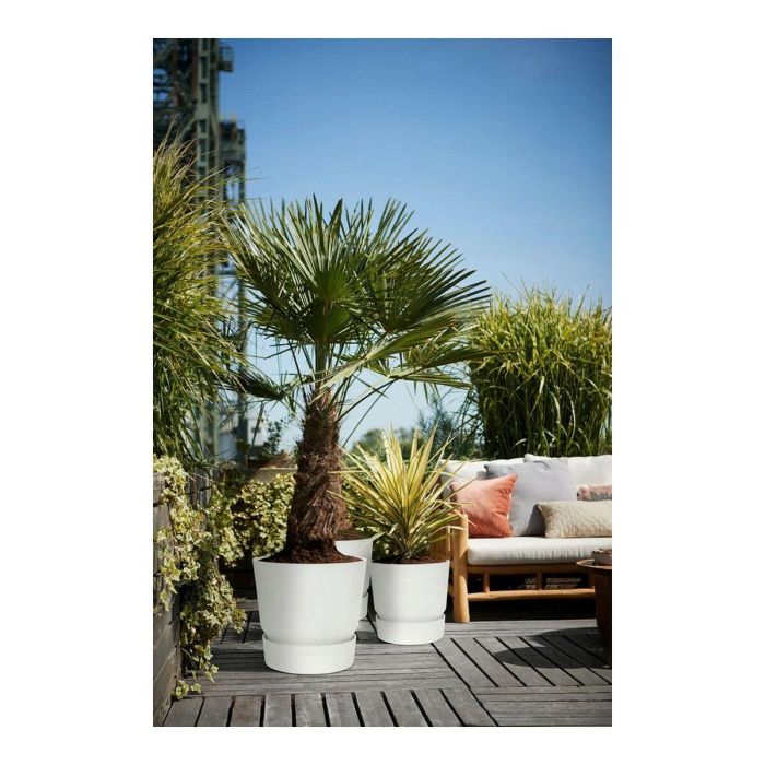 Maceta redonda ELHO Greenville 47 - Exterior - Ø 47 x H 44,1 cm - Blanco 2 Maceta redonda ELHO Greenville 47 - Exterior - Ø 47 x H 44,1 cm - Blanco 2
