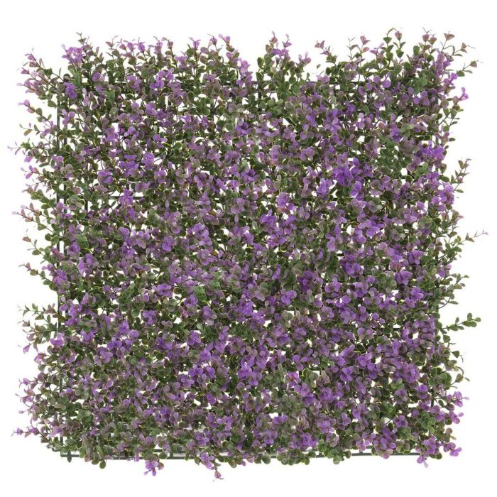 Valla Lavanda 50 x 50 x 2 cm